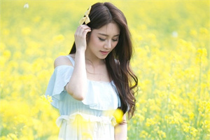 智能城市与环保:上海的创新探索 智能城市与环保:上海的创新探索